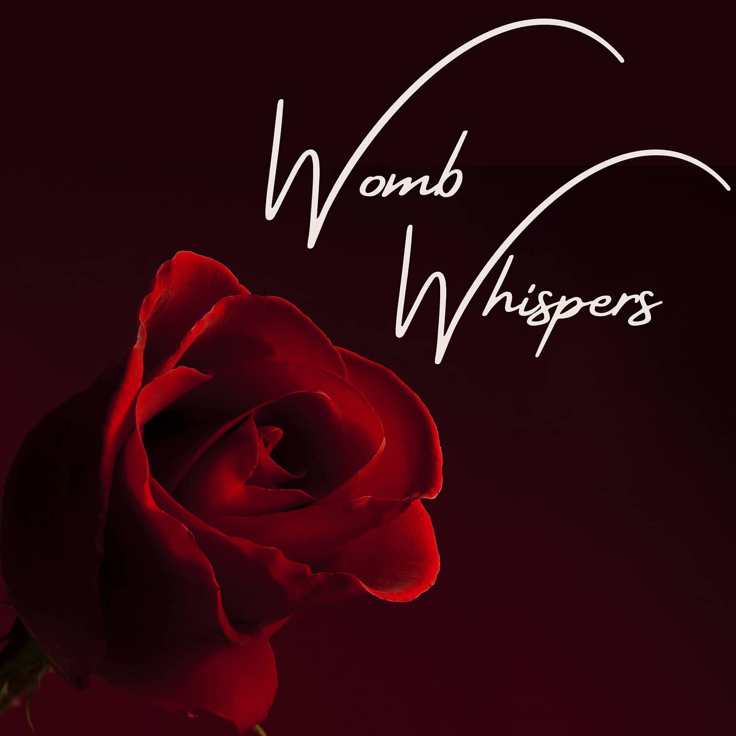 Big dark red rose on dark red background, text: Womb Whispers