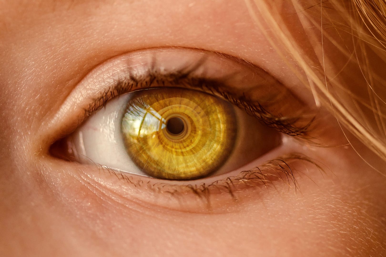 Close-up of the eye of a person, a spiral reflected in their yellow iris