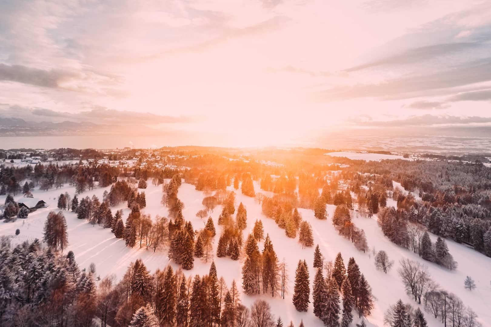Snow covered landscape with trees and a sun rising on the horizon
