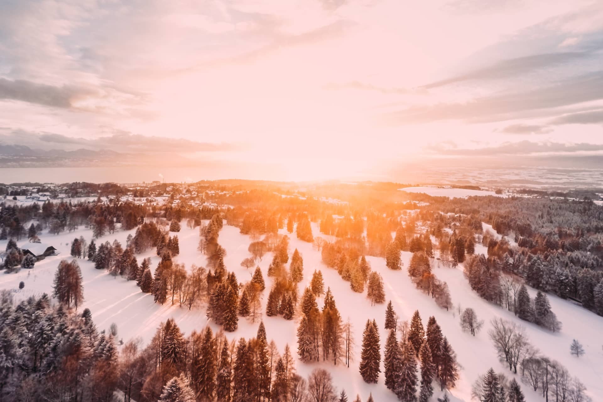 Schneebedeckte Landschaft mit Nadelbäumen und einer aufgehenden Sonne