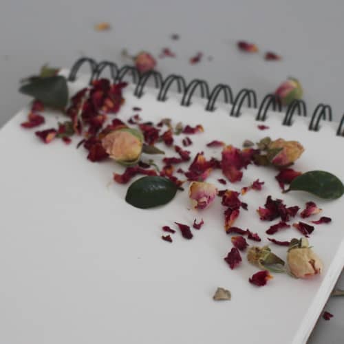 Photo of a white notepad with black spiral binding at the top, dark red flower petals and dark green leaves sprinkled on the white paper