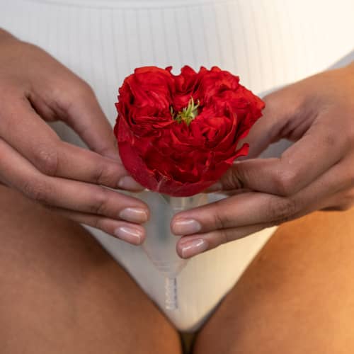 Photo of the womb space of a person in white underpants holding a red rose in a transparent menstrual cup in front of them