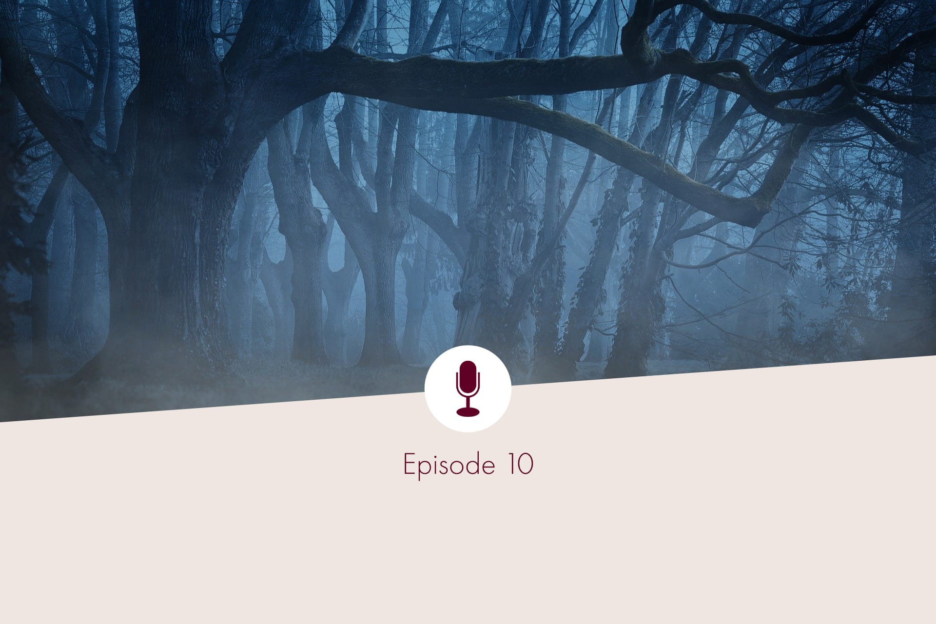 Picture of a mystical forest and captions "Episode 10"